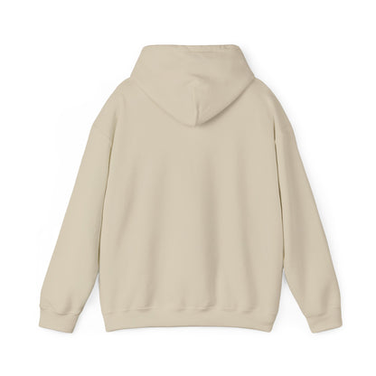 VDN GYM HOODIE (FREE Shipping)