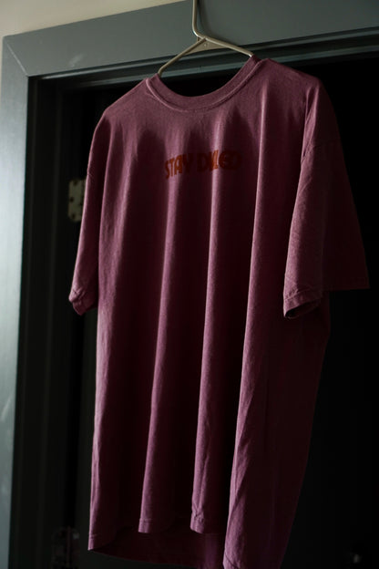 Comfort Colors STAY DIALED Vintage VDN T-SHIRT